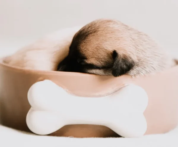 product thumb 7 optimized