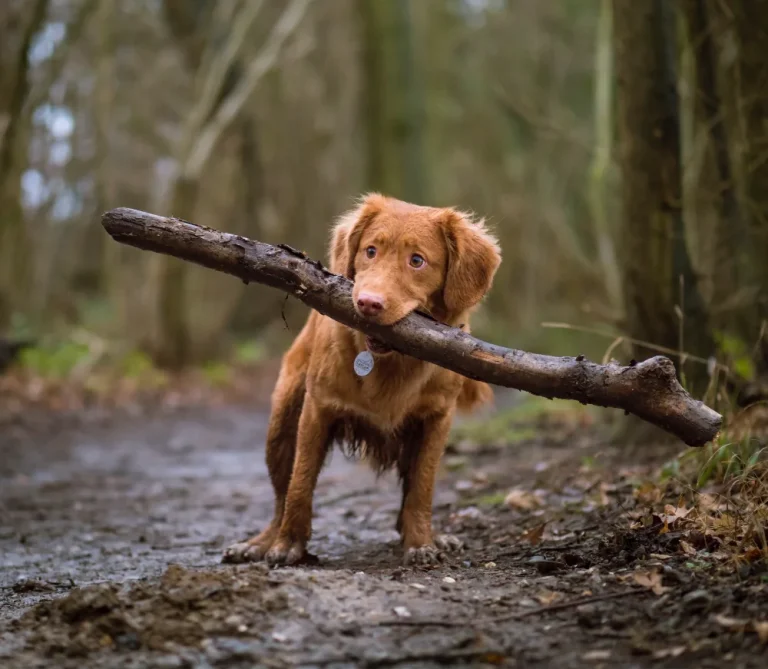 article thumb 8 optimized